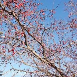 Meet your Posher, Zytaruk